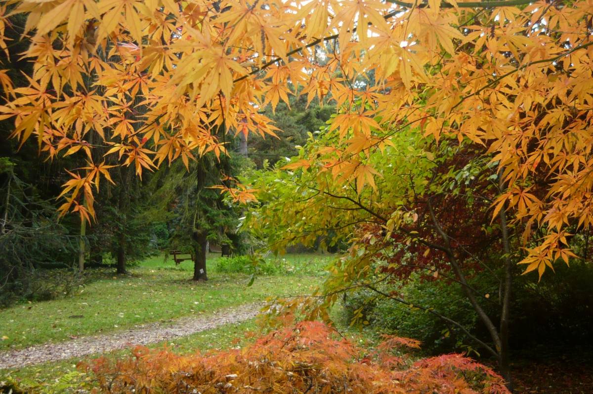 Forestry and Wildlife Management